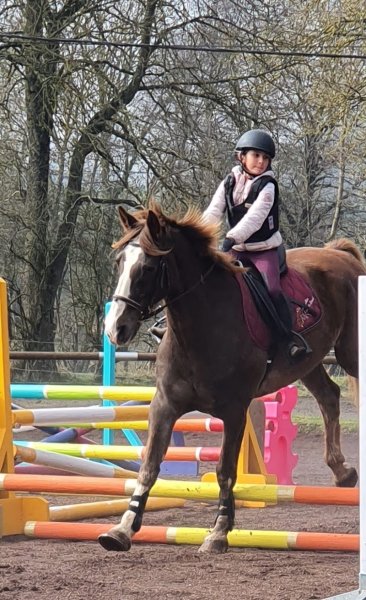 Ecuries de Gourmessaume - photo 2