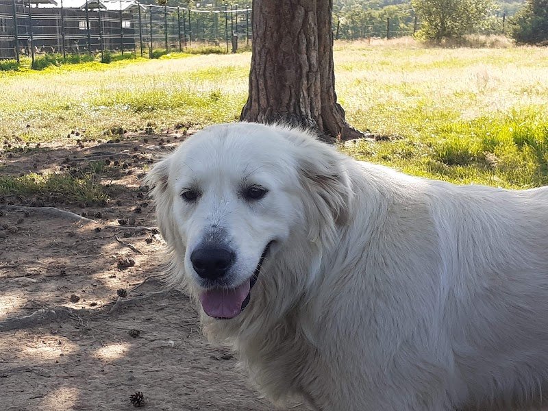 La pension de l'armandon - photo 2