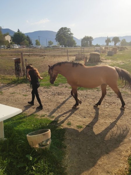 Centre equestre Les Portes DELT - photo 1
