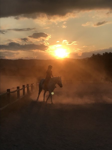Centre equestre Les Portes DELT - photo 2