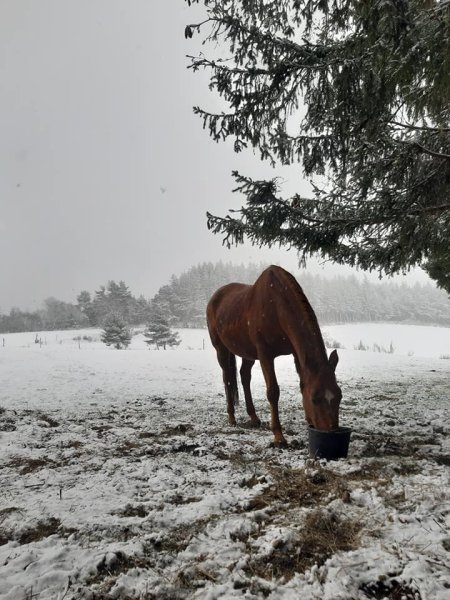 La Cavalerie du Lac - photo 3