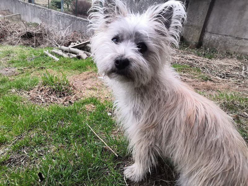 Pension du cerisier / TARDY Emmanuelle - photo 1