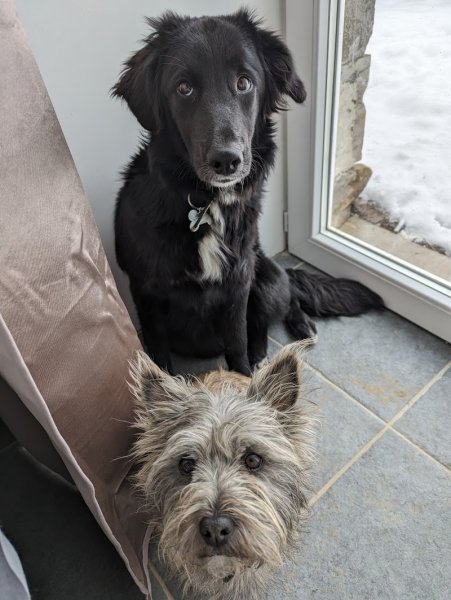 Pension du cerisier / TARDY Emmanuelle - photo 3