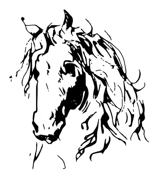 Les Ecuries Saint Georges