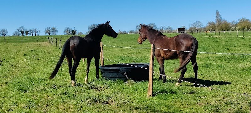 Ecurie de Bellevue - photo 2
