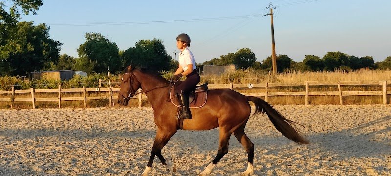 Ecurie de Bellevue - photo 3