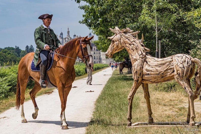 ANDRIEUX Cavalier moniteur d'équitation, élevage équin, chevaux de sports equestres - photo 2