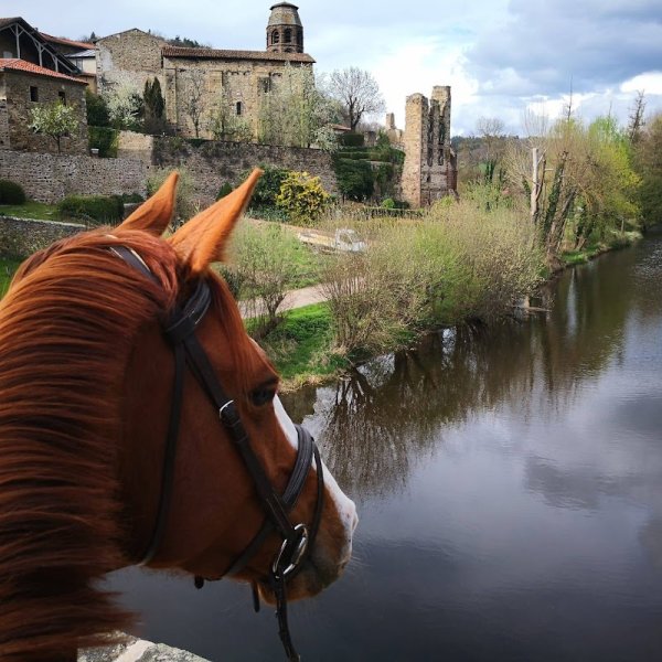 ANDRIEUX Cavalier moniteur d'équitation, élevage équin, chevaux de sports equestres - photo 3