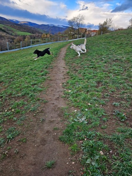 La Pension du Dragon - photo 1