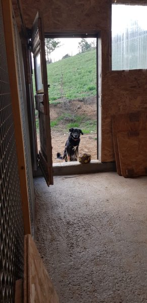 La Pension du Dragon - photo 2