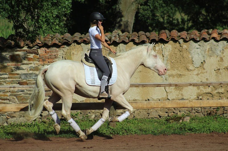 Ecurie de la Source Pompadour - photo 2