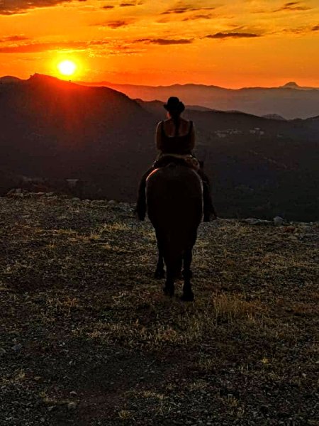 Le Clan d'Epona - Pension chevaux - Rééducation - photo 1
