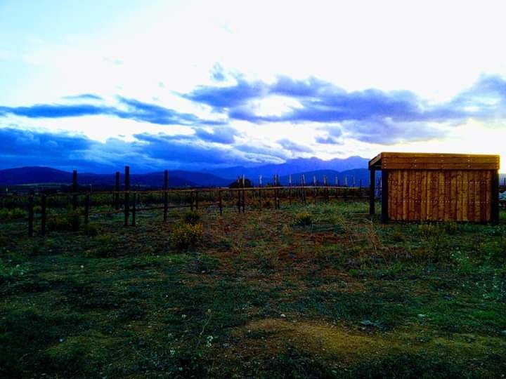 Le Clan d'Epona - Pension chevaux - Rééducation - photo 3