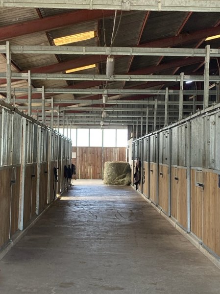 Ecurie de la Chassignole - photo 3