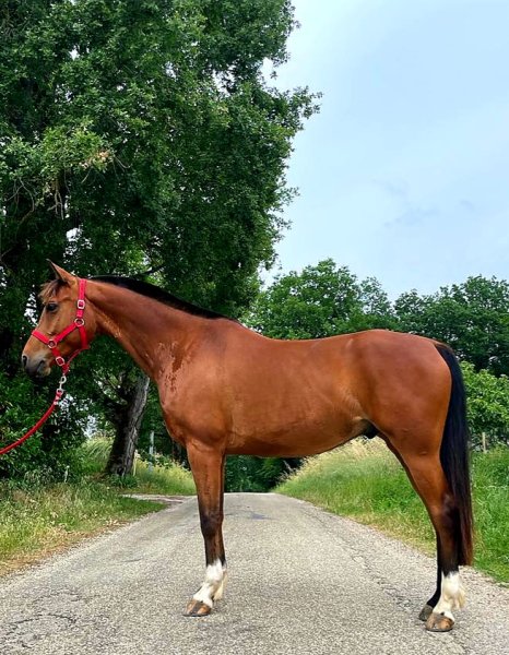 Ecurie VitaNova - photo 1