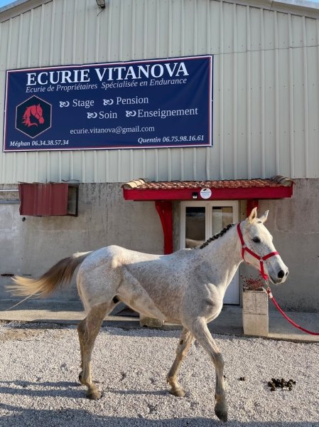 Ecurie VitaNova - photo 2