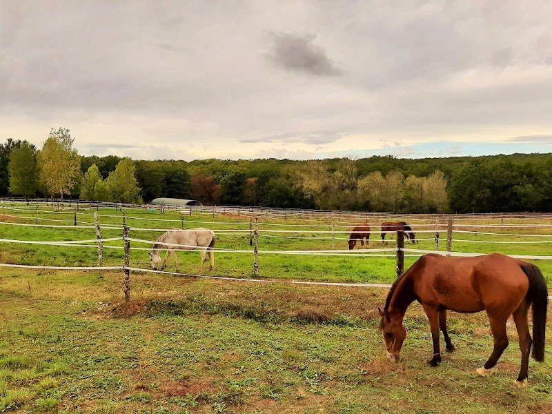 Ecurie VitaNova - photo 3