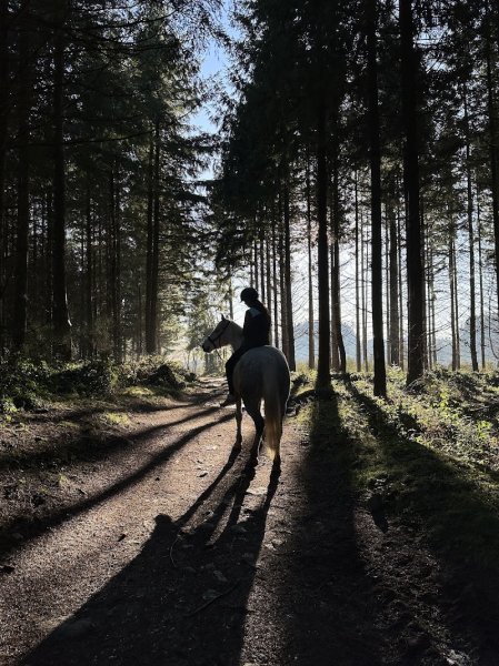 Écurie Equid’elle