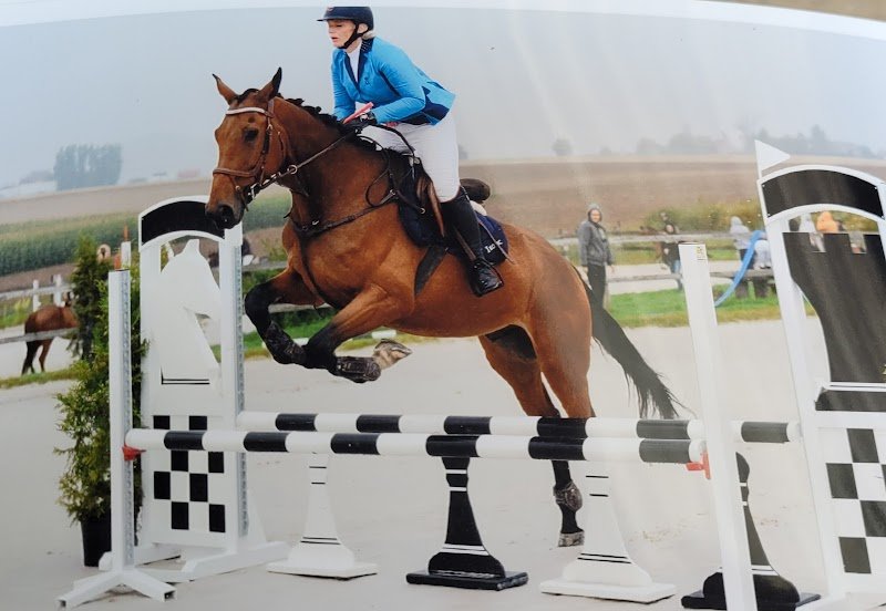 Haras Sainte-Marguerite - photo 1