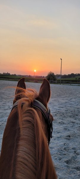 Haras Sainte-Marguerite - photo 2