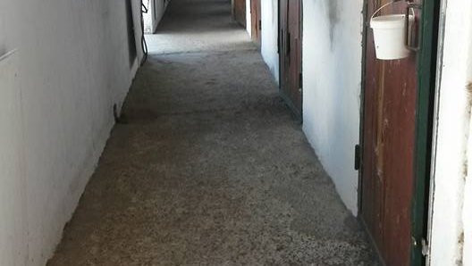 ECURIES DE LA LICORNE - photo 1