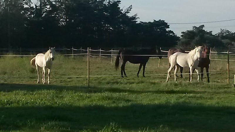 ECURIES DE LA LICORNE - photo 3