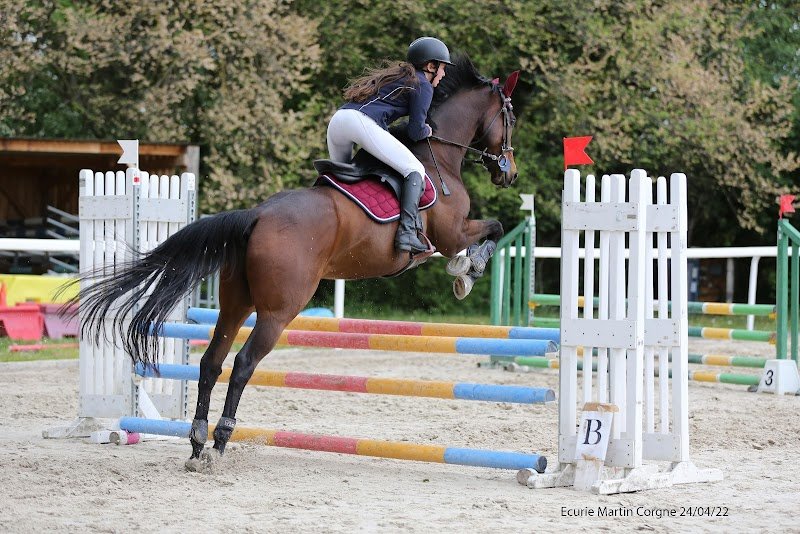 Écuries de Médagues