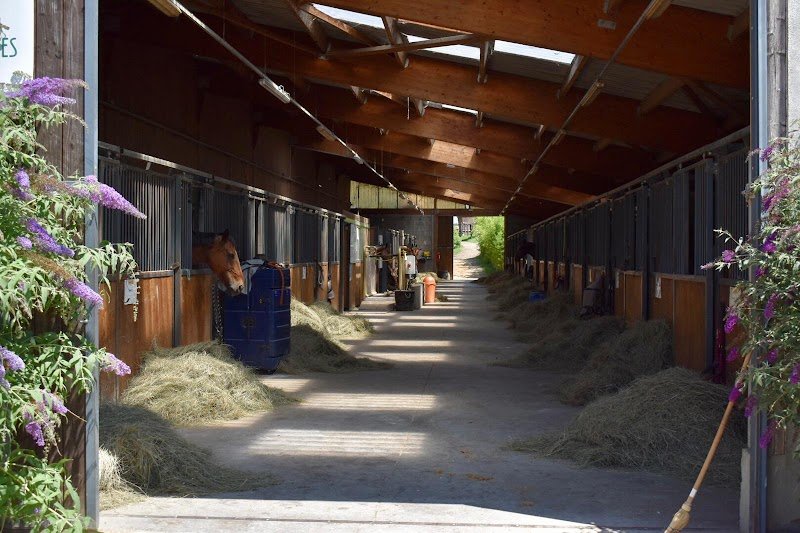 Écuries de Médagues - photo 2