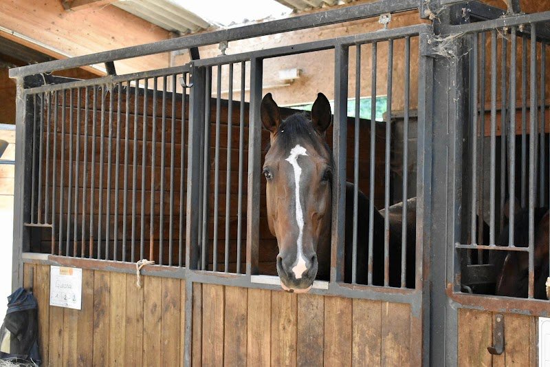 Écuries de Médagues - photo 3