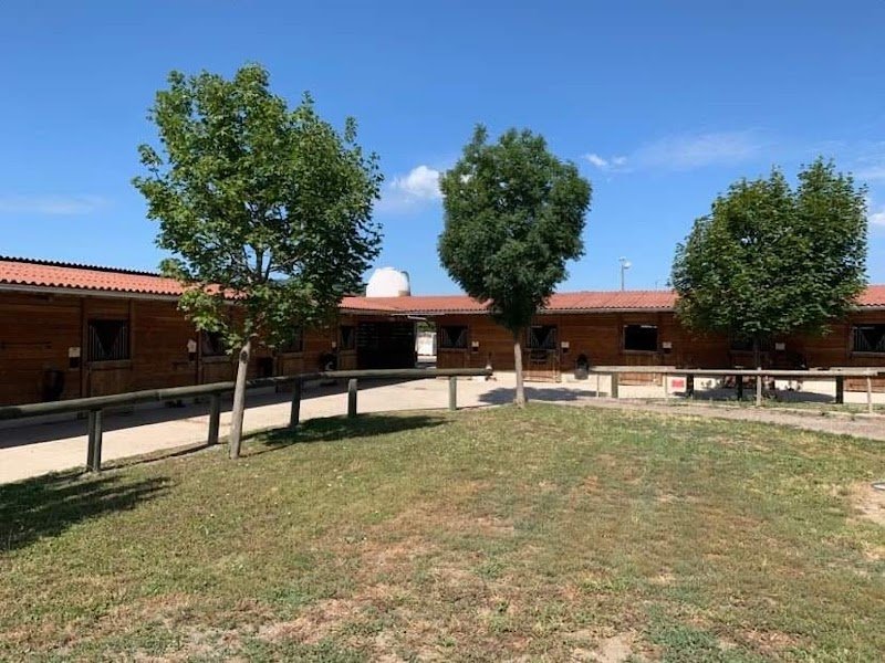 ECURIES PONTAVY - photo 2