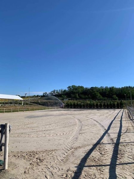 ECURIES PONTAVY - photo 3