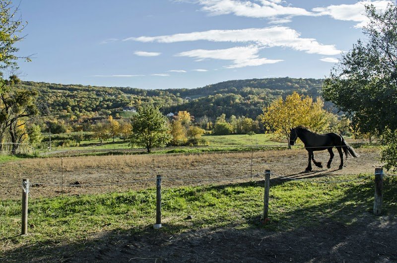 Centre équestre de Marsat - photo 3