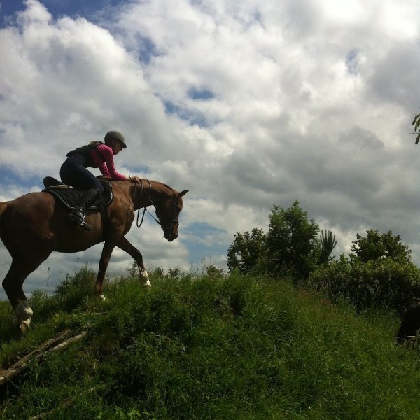 Centre équestre les KATBALOUS - photo 3