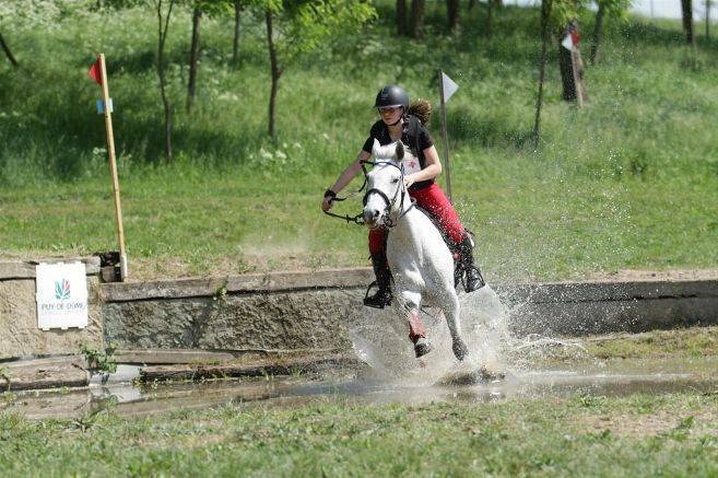 Pont-du-Château Equestre - photo 1