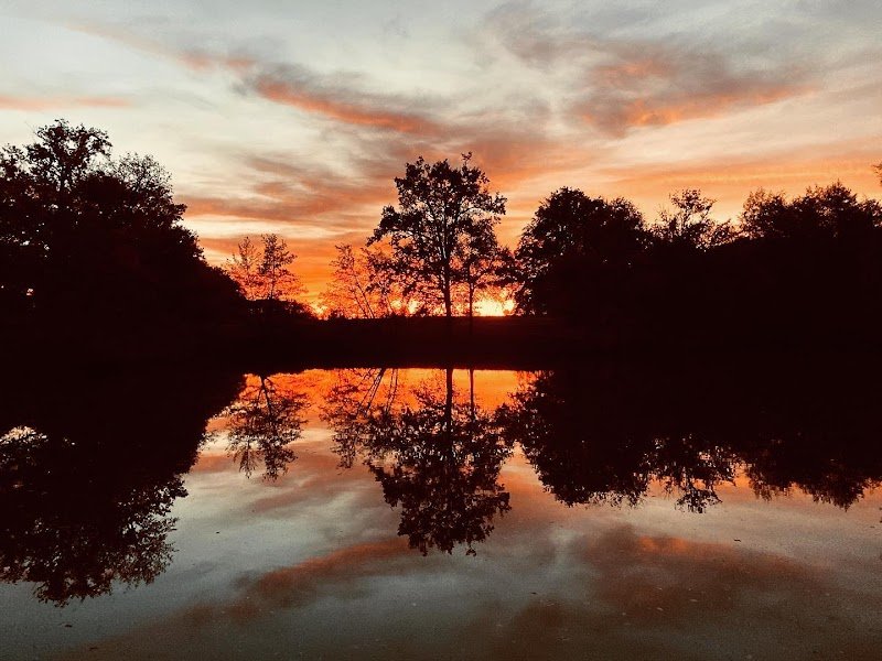 Écuries de la Carte - photo 1
