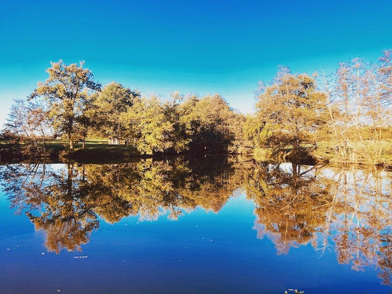 Écuries de la Carte - photo 2