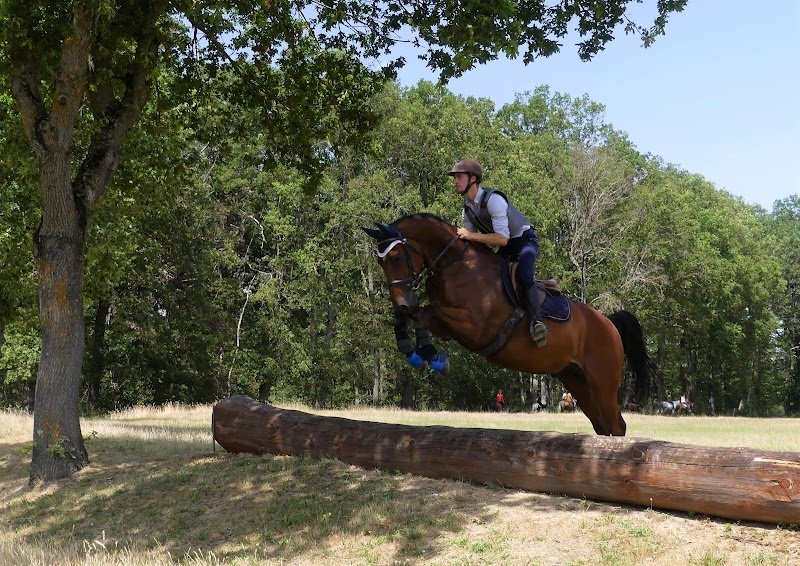 Centre Equestre de Mosnet - photo 2