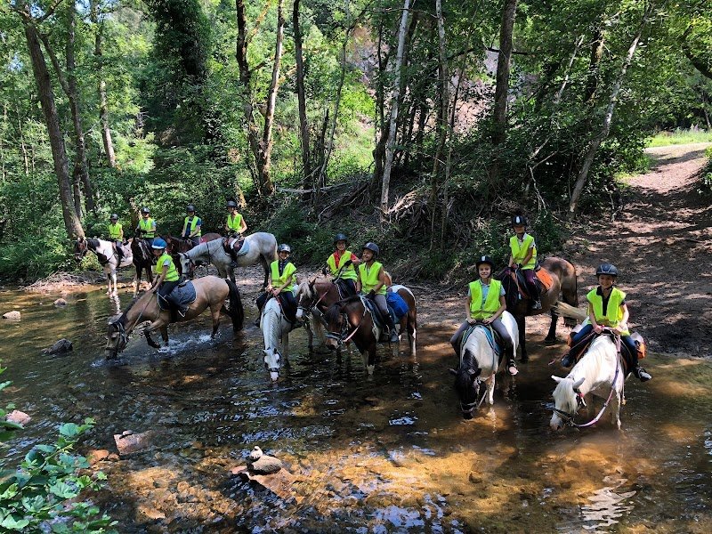 Centre Equestre de Mosnet - photo 3