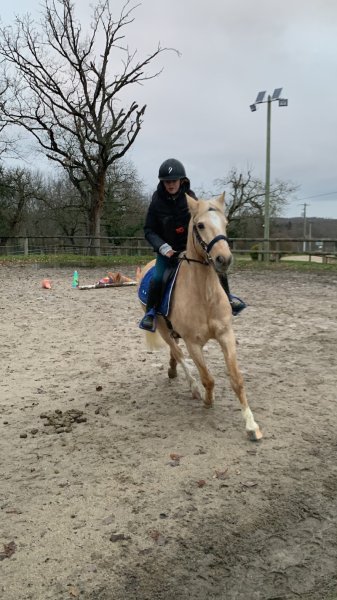 Espace Equestre de Dorson - photo 1