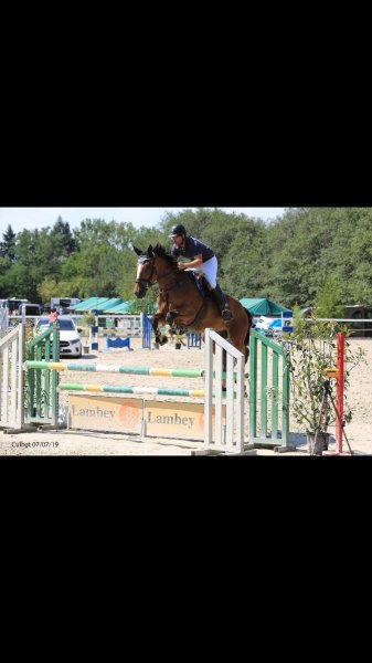 Espace Equestre de Dorson - photo 3