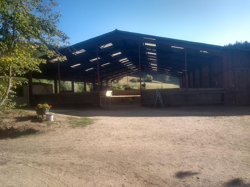 Domaine équestre des Puys - photo 3