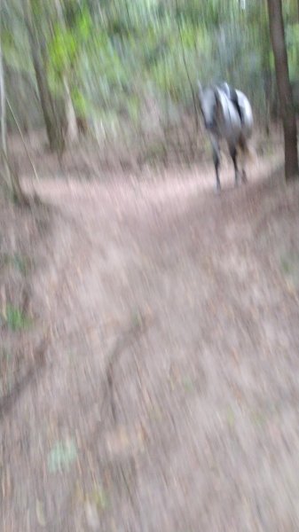 Thiers Voltige Equestre - photo 1