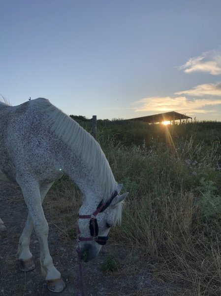 HARAS DE PRAT - photo 1