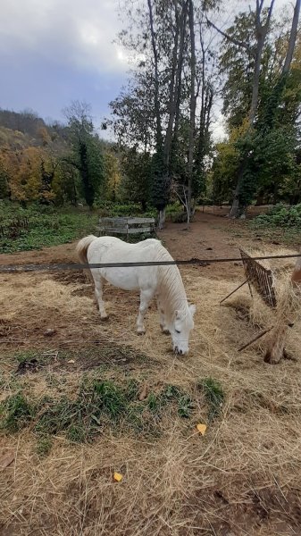 HARAS DE PRAT - photo 3
