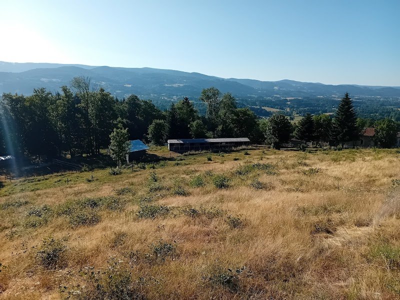 Ecurie des Sapins - photo 1