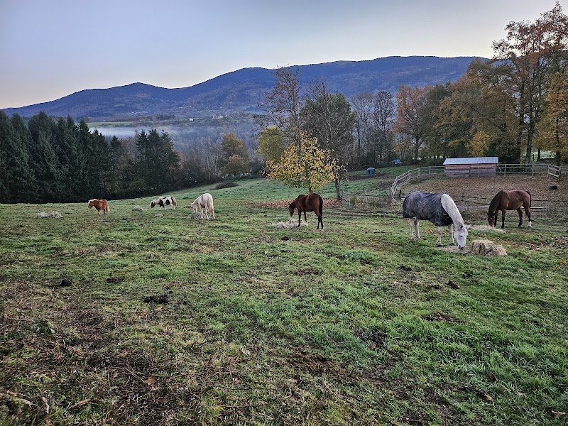 Ecurie des Sapins - photo 2