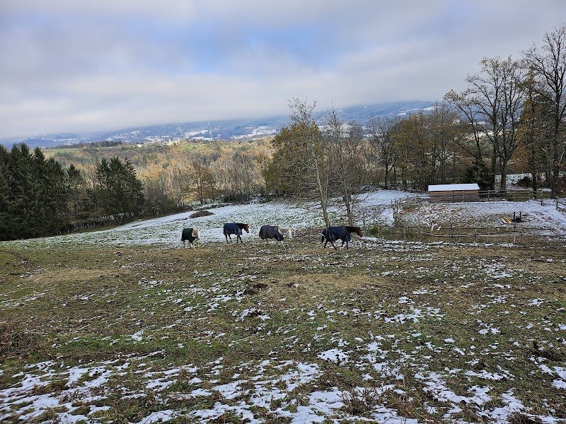 Ecurie des Sapins - photo 3