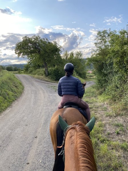 Espace Equestre de Lapiota - Balade à cheval, promenade en main, randonnée et médiation animale