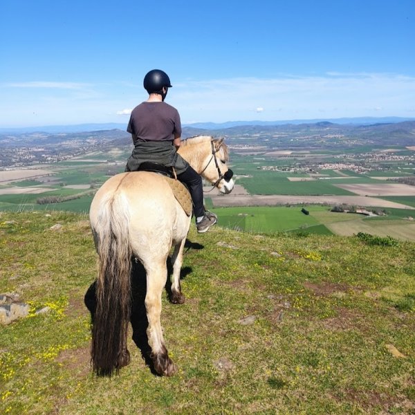 Espace Equestre de Lapiota - Balade à cheval, promenade en main, randonnée et médiation animale - photo 2