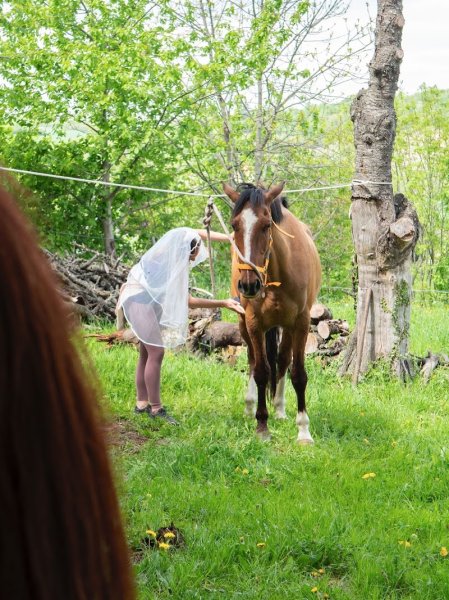 Espace Equestre de Lapiota - Balade à cheval, promenade en main, randonnée et médiation animale - photo 3